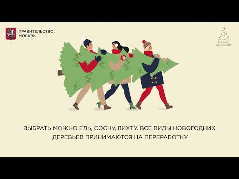 Как выбрать и утилизировать новогоднее дерево?