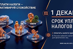 Как получить и оплатить налоговое уведомление через ЕПГУ