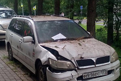Управа Матушкино разыскивает владельца ТС "Митсубиши" имеющего признаки БРТС