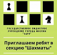 Шахматы