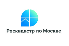 Эксперты столичного Роскадастра продолжают отвечать на вопросы иностранных граждан о предоставлении данных из ЕГРН