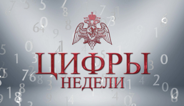 Свыше 4 тысяч государственных услуг в сфере оборота гражданского оружия и охранной деятельности предоставил столичный главк Росгвардии за прошедшую неделю
