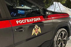 Московские росгвардейцы задержали водителя грузовика, находящегося в розыске